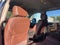 2019 Chevrolet Silverado 3500 HD High Country